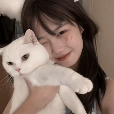 246天天好彩下载手机版