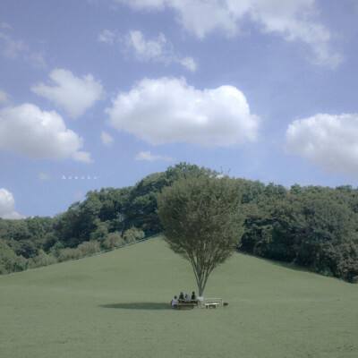 澳门一码一肖一特一中下载手机版